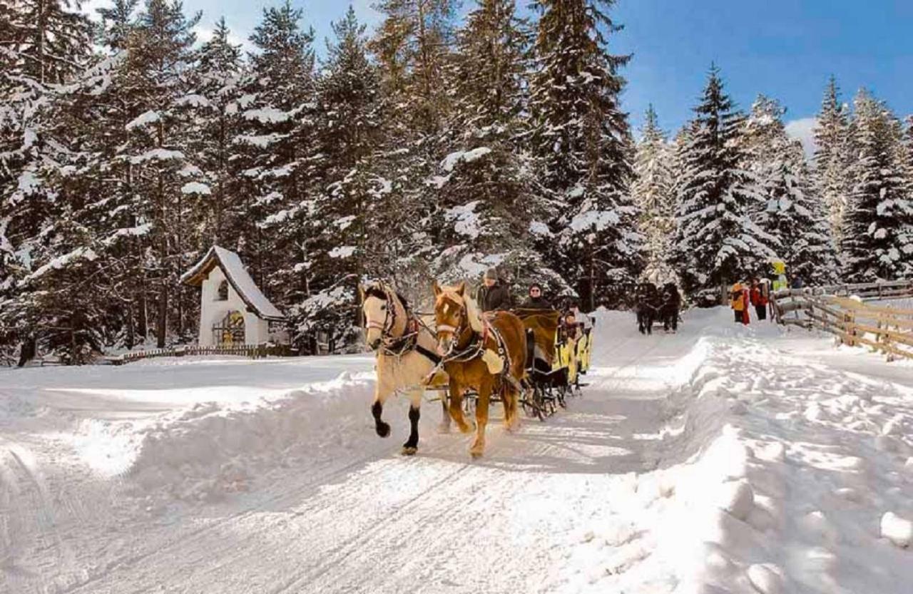 Appartmenthaus Birkenwald Seefeld in Tirol Bagian luar foto