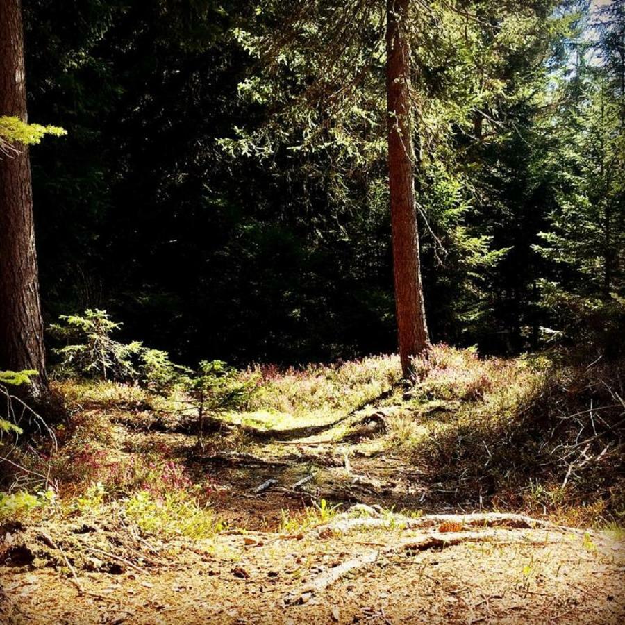 Appartmenthaus Birkenwald Seefeld in Tirol Bagian luar foto