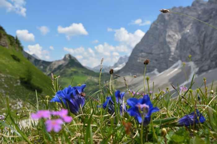 Appartmenthaus Birkenwald Seefeld in Tirol Bagian luar foto